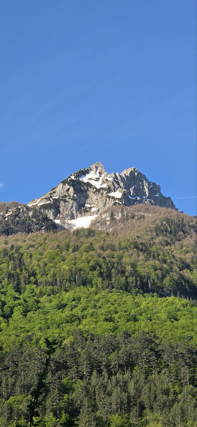 Planinski vrh Pivske planine